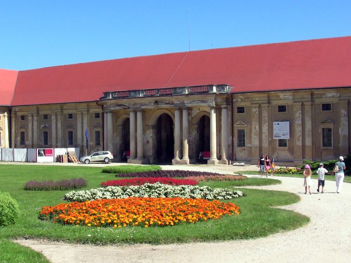 Akvárium Malawi